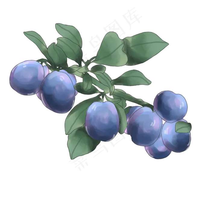 夏天水果乌梅(3000X3000(DPI:300))psd模版下载
