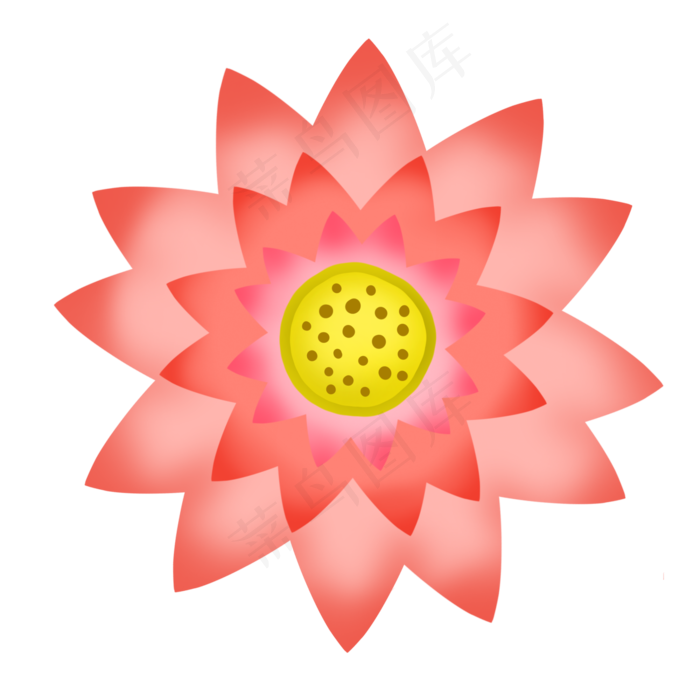 一朵漂亮的荷花插图(2000X2000(DPI:300))psd模版下载