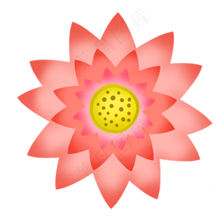 一朵漂亮的荷花插图