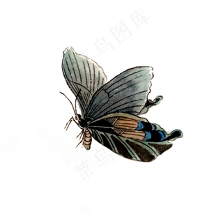 蝴蝶水墨国画昆虫翅膀PNG,免抠元素