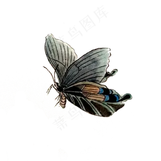 蝴蝶水墨国画昆虫翅膀PNG,免抠元素