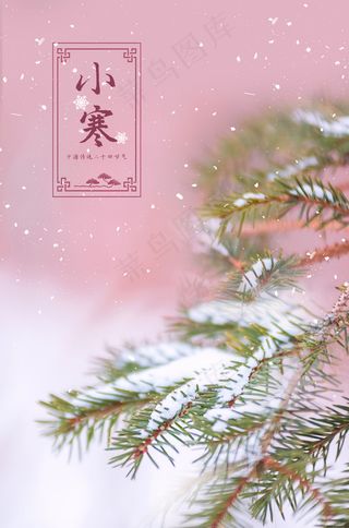 简约中国传统节气二十四节气小寒