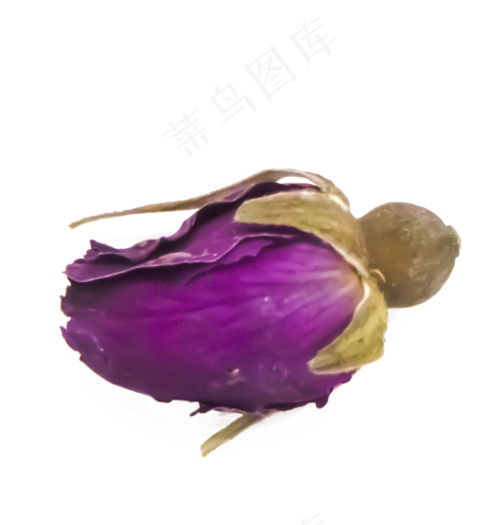 干玫瑰花茶(2000X2000(DPI:132))
