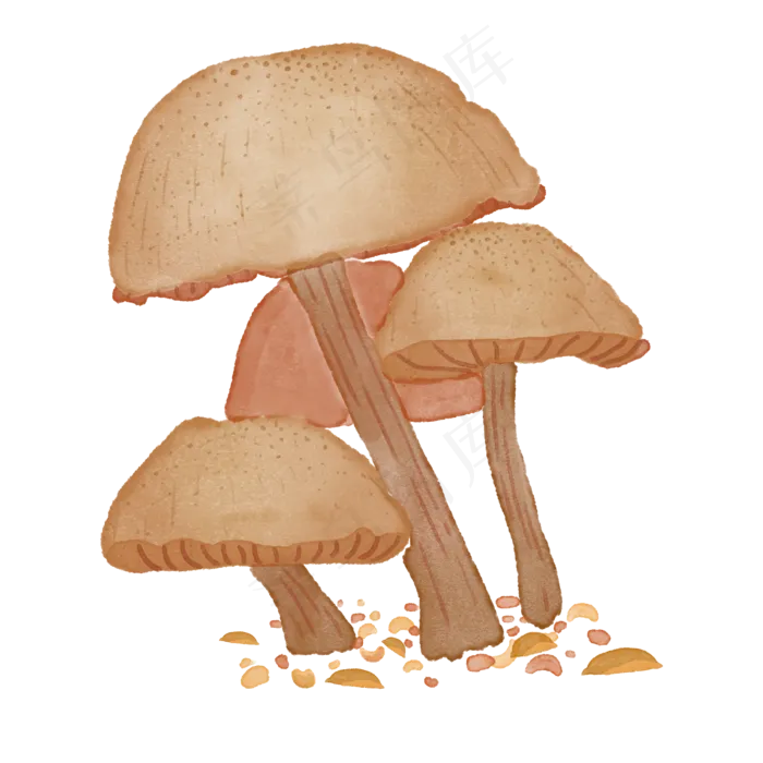 手绘中国风蘑菇水彩风格免扣文件(2000X2000(DPI:300))psd模版下载