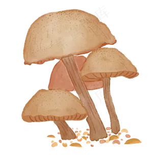 手绘中国风蘑菇水彩风格免扣文件