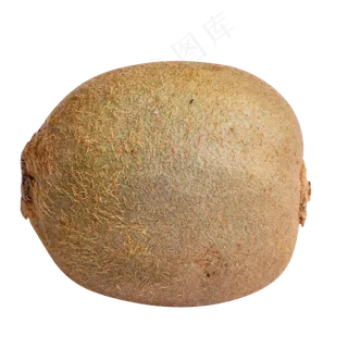 美味水果猕猴桃