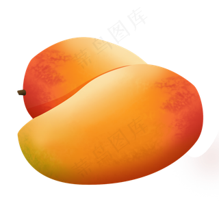 手绘黄橙色写实画风芒果psd透