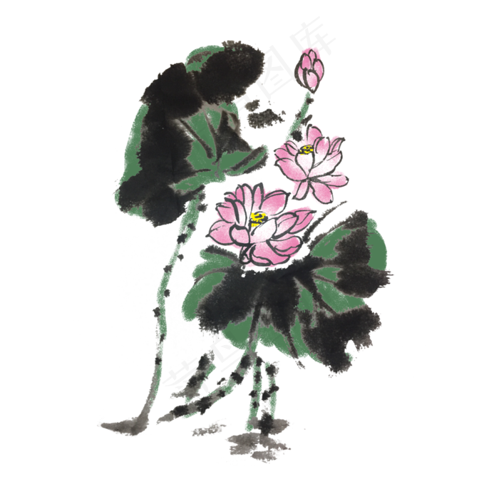 荷花荷叶手绘插画