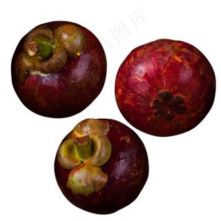 实拍果林果树水果果实