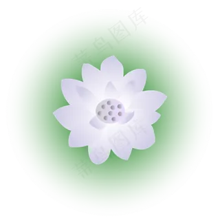 夏日荷花清新精美