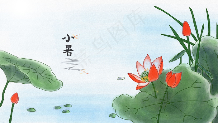 小暑节气荷花插图(2880X1620(DPI:300))psd模版下载