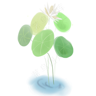 夏季水墨白色荷花