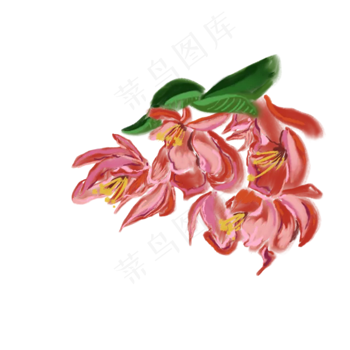 盛开的繁花免抠插图