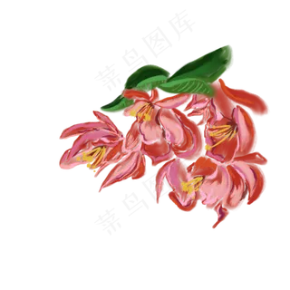 盛开的繁花免抠插图