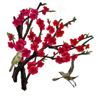 手绘小鸟梅花,免抠元素
