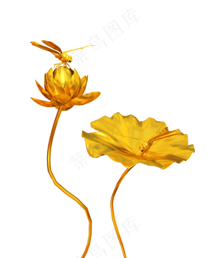 金色荷花莲花
