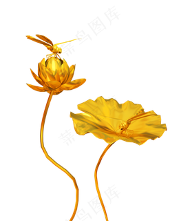 金色荷花莲花