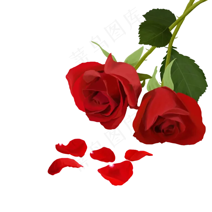 情人节玫瑰PNG,免抠元素(2000*2000px)psd模版下载
