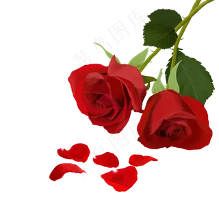 情人节玫瑰PNG,免抠元素