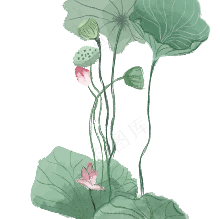 立夏海报插画荷叶