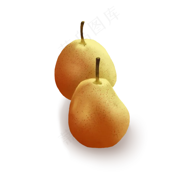 秋冬水果梨子(2480X3507(DPI:300))psd模版下载