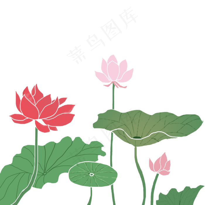 清新荷花(2000X2000(DPI:300))psd模版下载