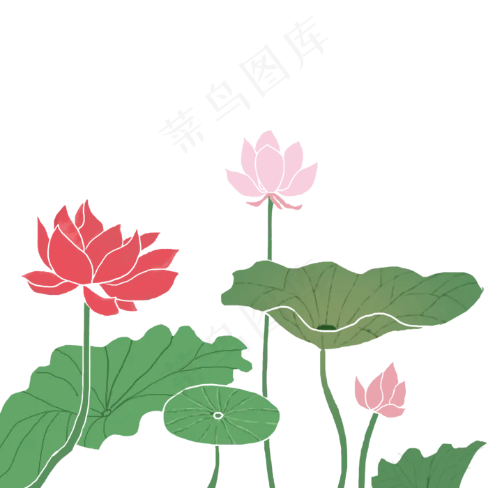 清新荷花(2000X2000(DPI:300))psd模版下载