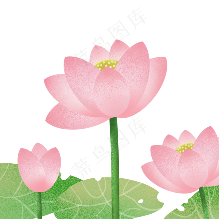 淡彩荷花夏日海报节日海报装饰元