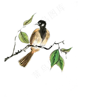 国画工笔花鸟雏鹰PNG水墨树枝,免抠元素