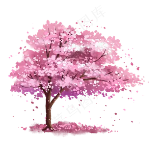 粉色浪漫樱花树下樱花飘飘,免抠元素