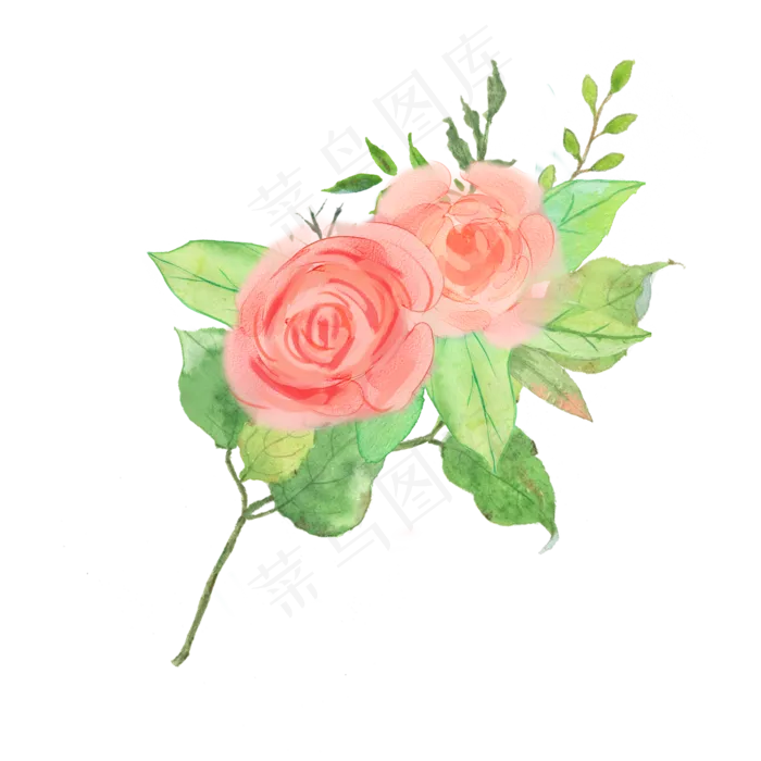 水彩玫瑰花朵素材(2000X2000(DPI:300))psd模版下载