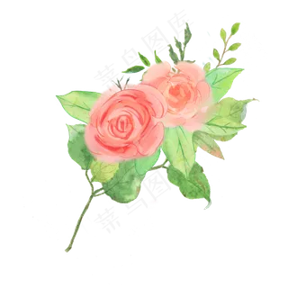 水彩玫瑰花朵素材