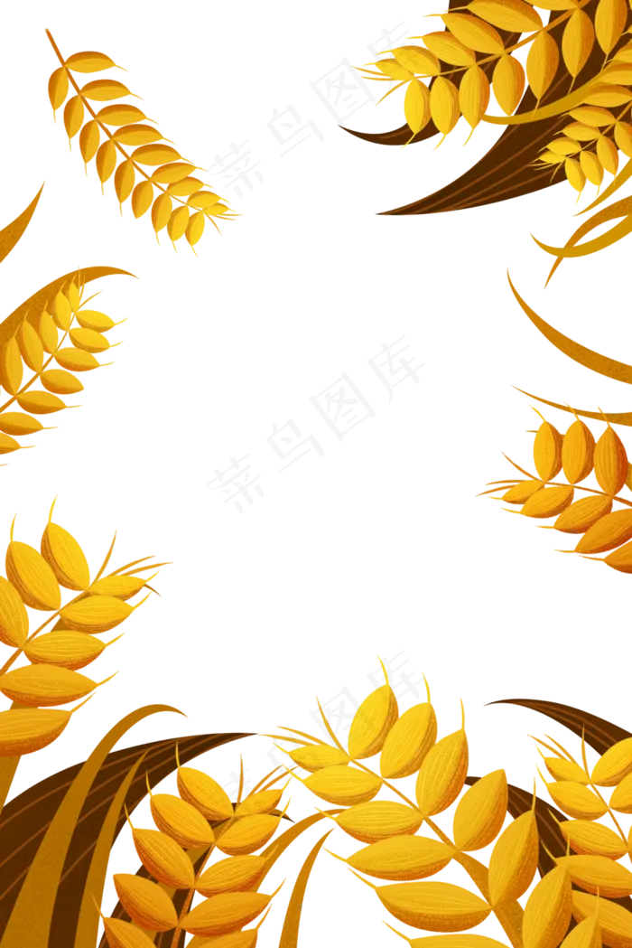 芒种节气丰收季节麦穗(3545X5315(DPI:300))psd模版下载