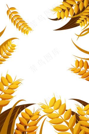 芒种节气丰收季节麦穗