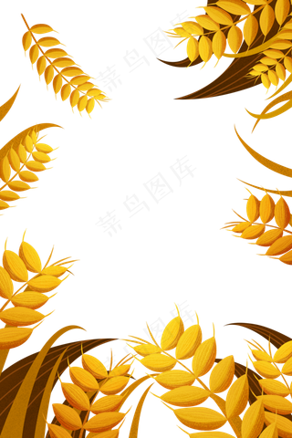 芒种节气丰收季节麦穗