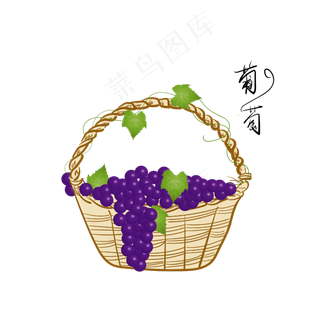 手绘一篮子紫葡萄蔬菜水果素材