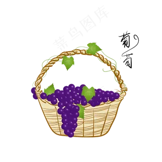 手绘一篮子紫葡萄蔬菜水果素材
