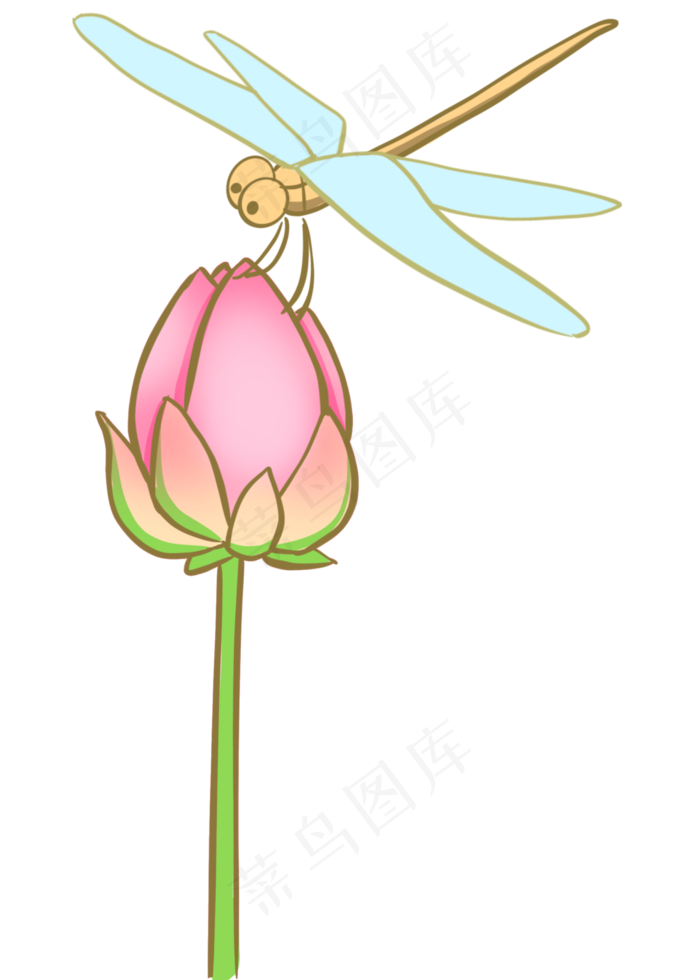 夏季粉色荷花蜻蜓