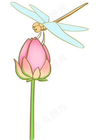 夏季粉色荷花蜻蜓