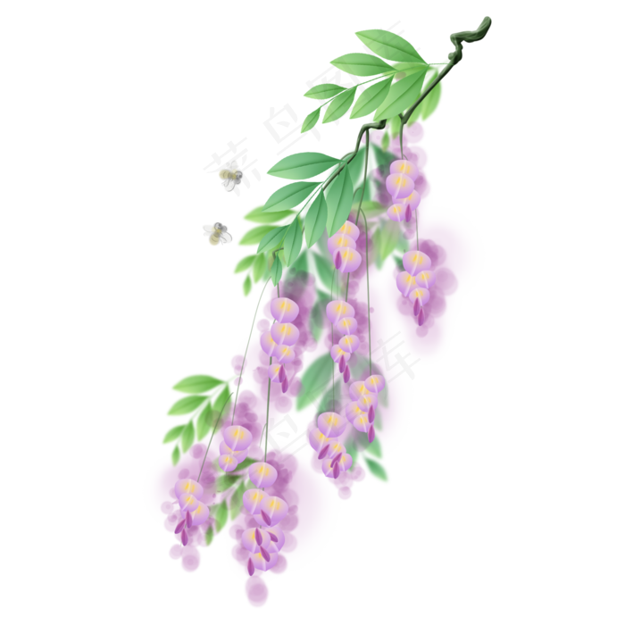 紫藤萝和蜜蜂(2000X2000(DPI:300))psd模版下载