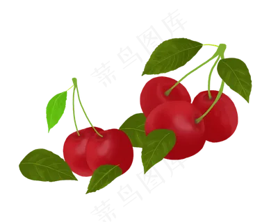 樱桃水果叶子PNG