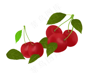 樱桃水果叶子PNG