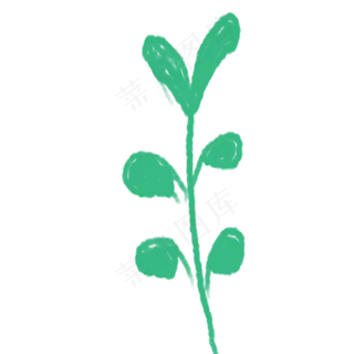 绿叶春季自然植物