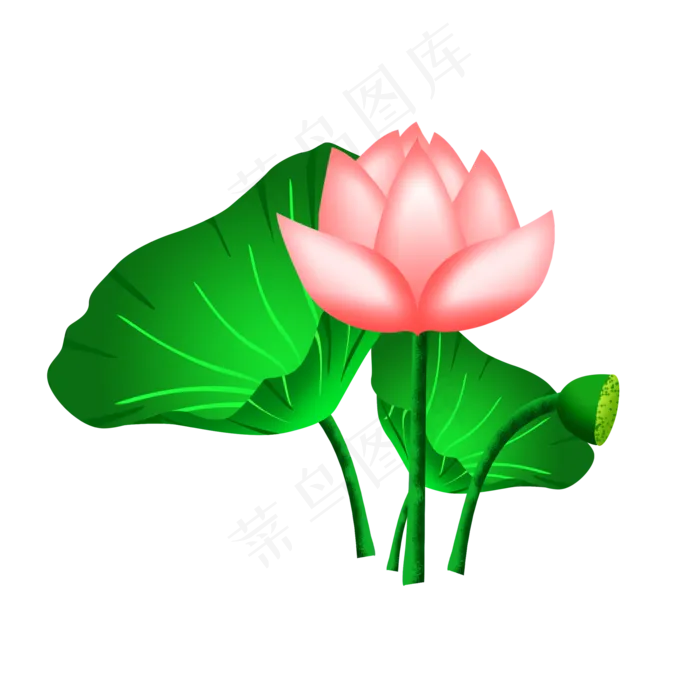 粉色荷花荷叶(2000X2000(DPI:300))psd模版下载