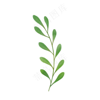 绿色树叶手绘水彩叶子