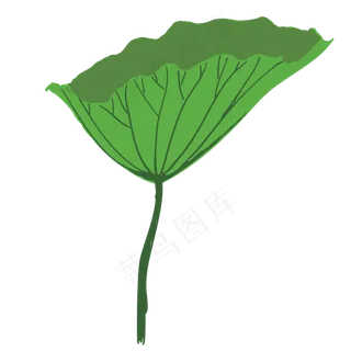 绿色的荷叶免抠图