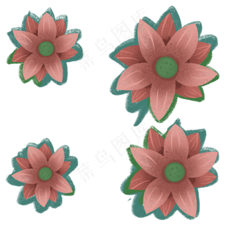 立夏池塘里的荷花