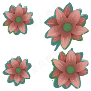 立夏池塘里的荷花