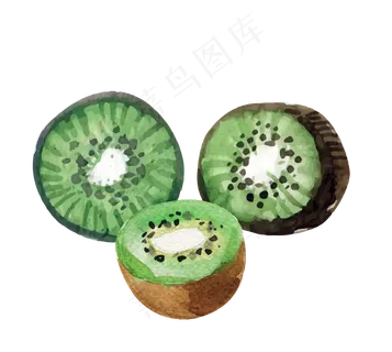 矢量热带水果猕猴桃绿果素材 矢量热带水果猕猴桃绿果素材
