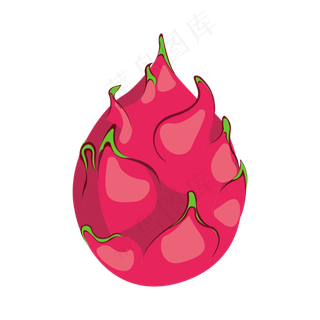 有机红心火龙果